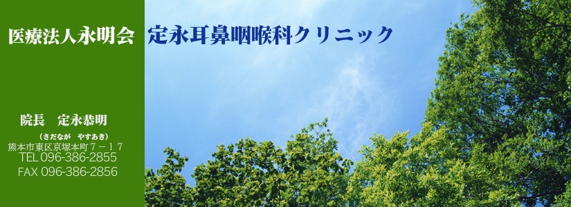 熊本市定永耳鼻咽喉科のホームページ